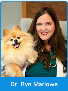 Dr. Ryn Marlowe – Veterinarian
