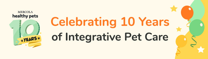 Healthypets - 10 Year Anniversary