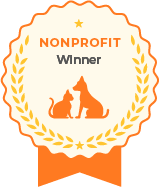 Awesome Recognition Award - Nonprofit