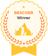 Awesome Recognition Award - Rescuer