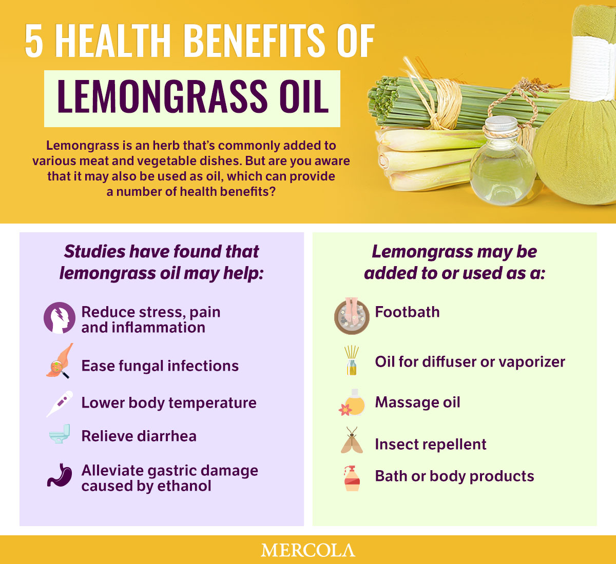 related studies about lemongrass as insect repellent