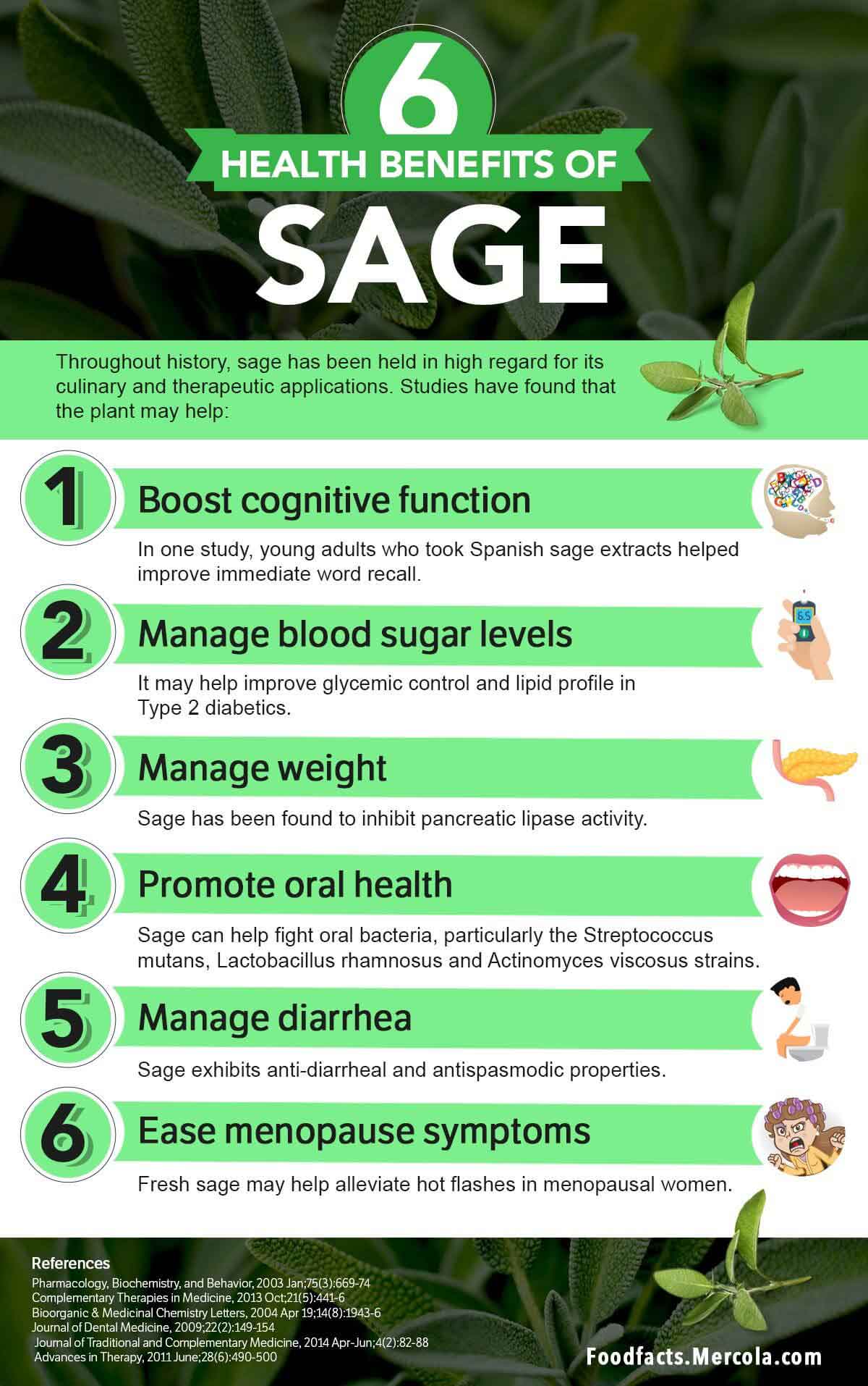 What Is Sage Used For? 6-health-benefits-sage