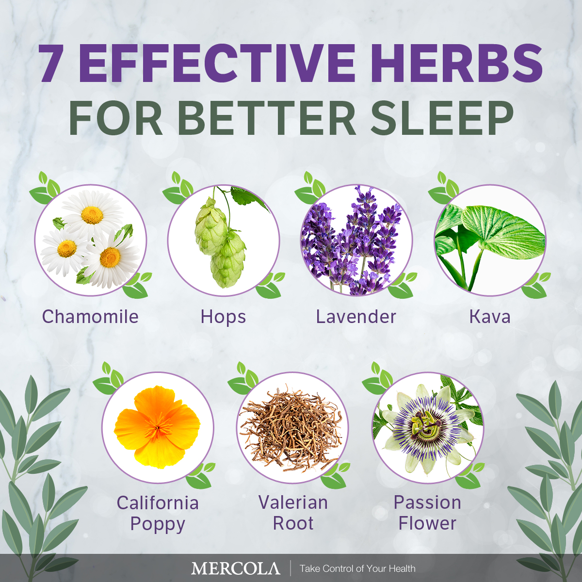 7 Effective Herbs for Better Sleep Infographic