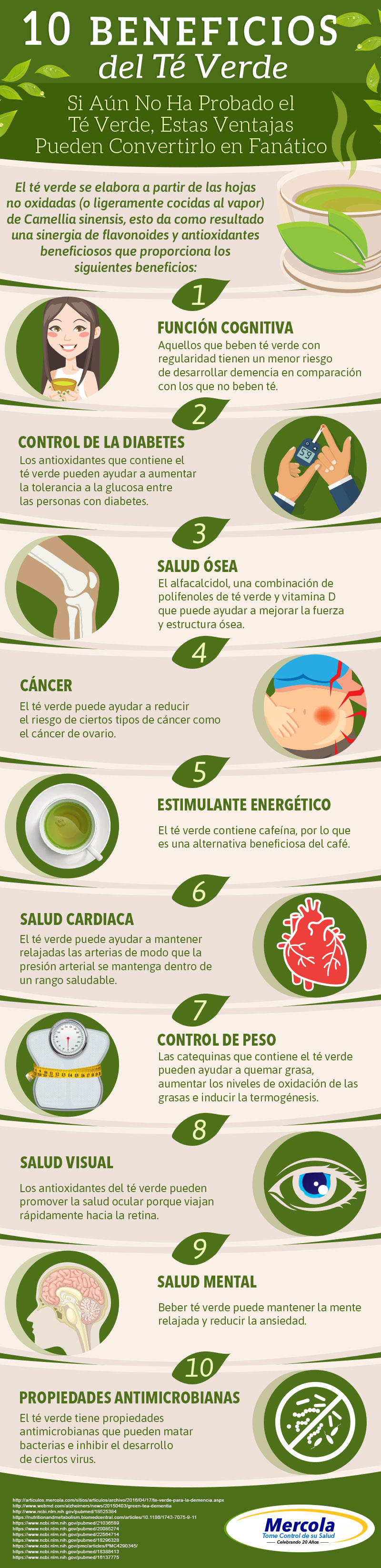 10 Beneficios del Té Verde