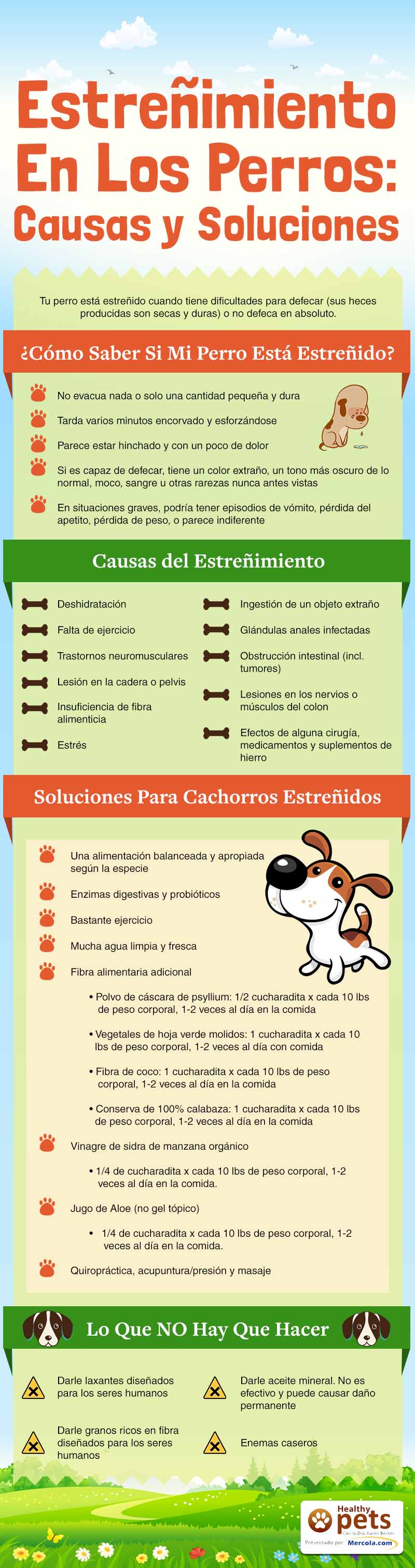 causas y tratamiento para el estrenimiento-canino