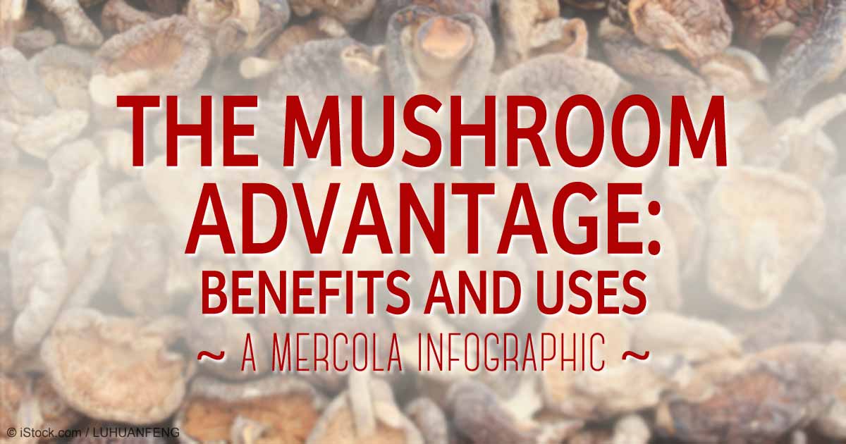 5 benefits of fungi