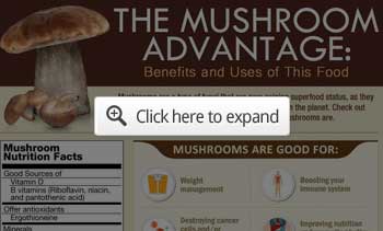 Mushroom benefits and uses