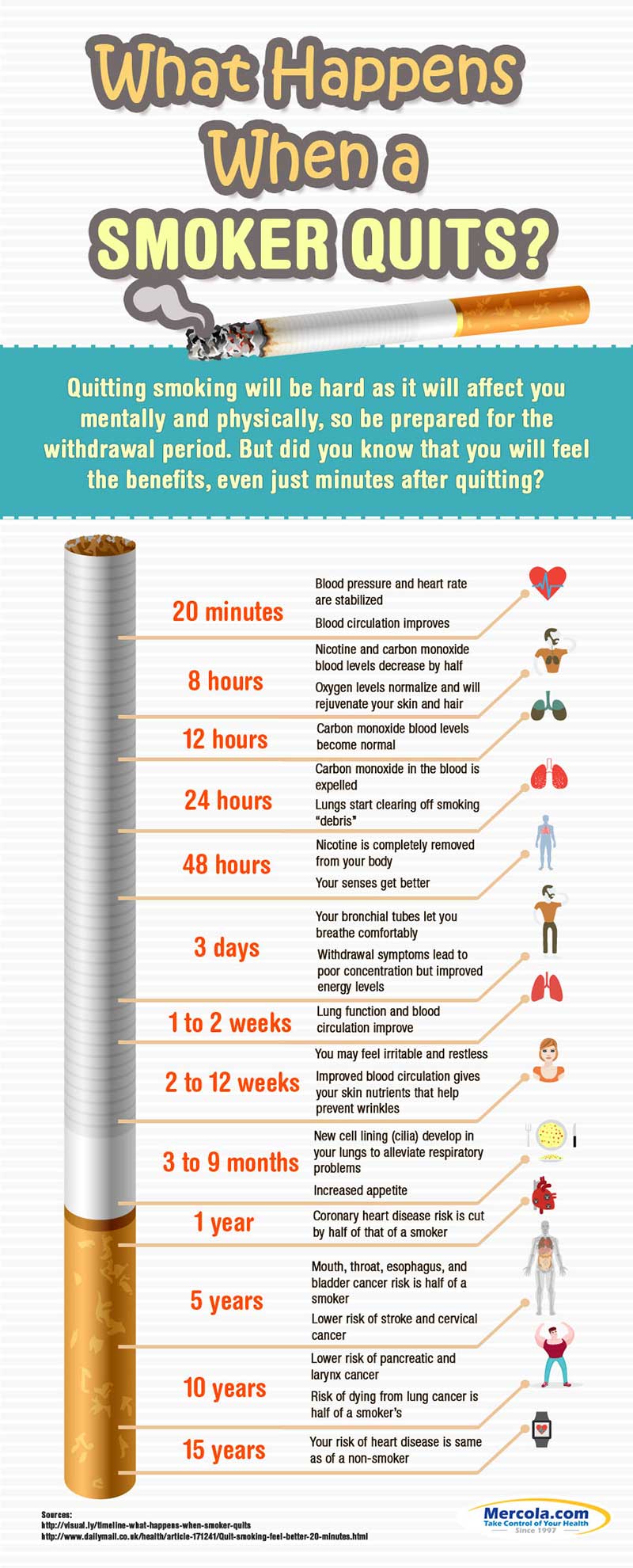 What Happens When a Smoker Quits Infographic
