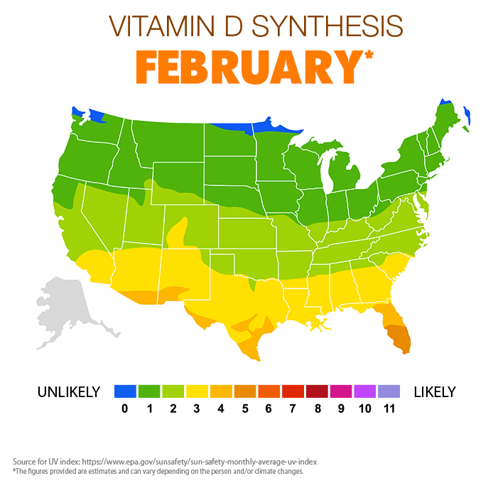 Vitamin D Synthesis - February