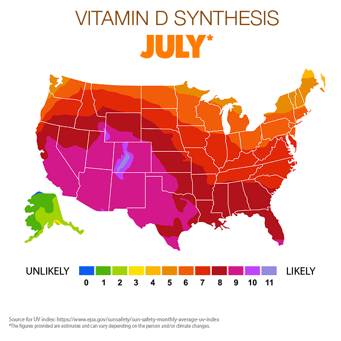 Vitamin D Synthesis - July