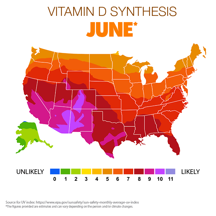 Vitamin D Synthesis - June