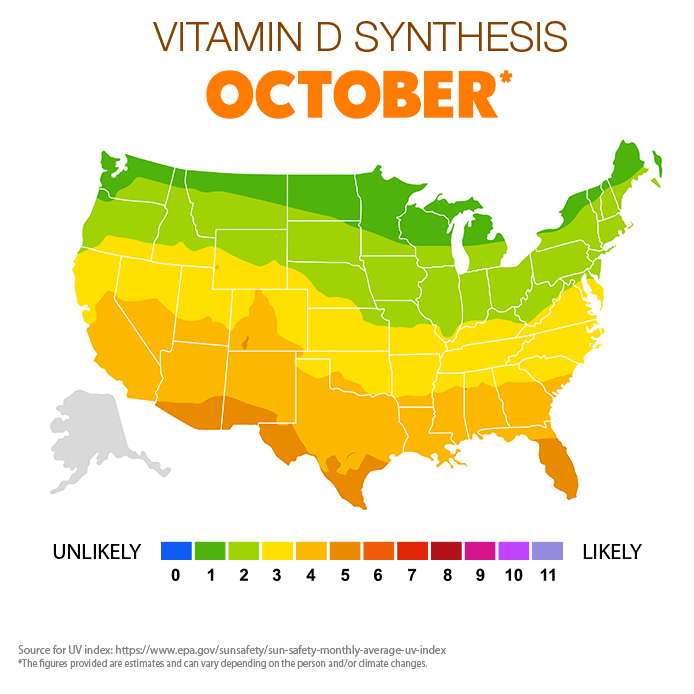 Vitamin D Synthesis - October