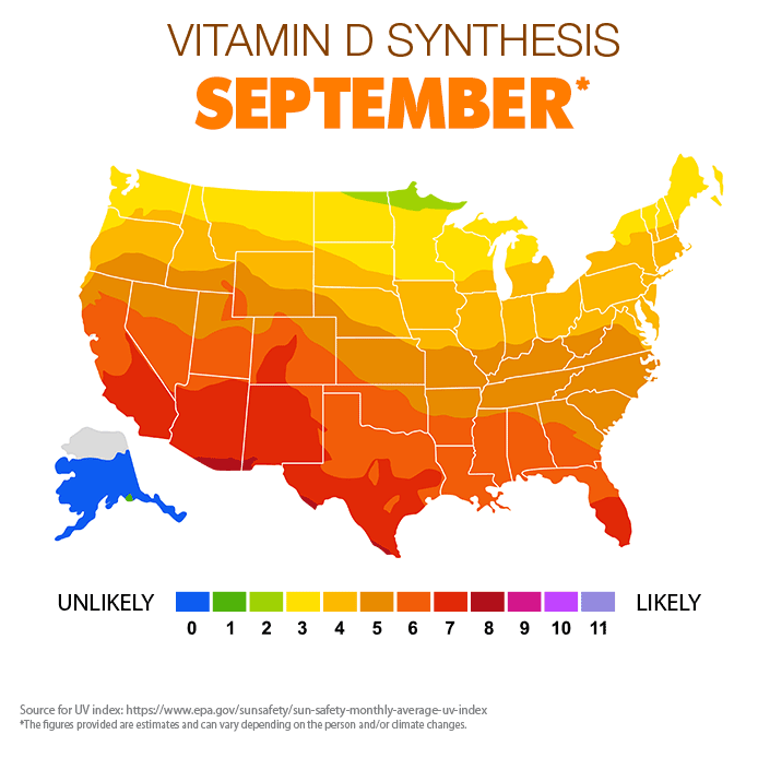 Vitamin D Synthesis - September