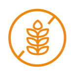 GMO Icon