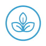 Organic Standard Icon