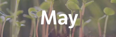 May - Gardening