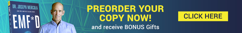 Preorder your copy now and receive bonus gifts