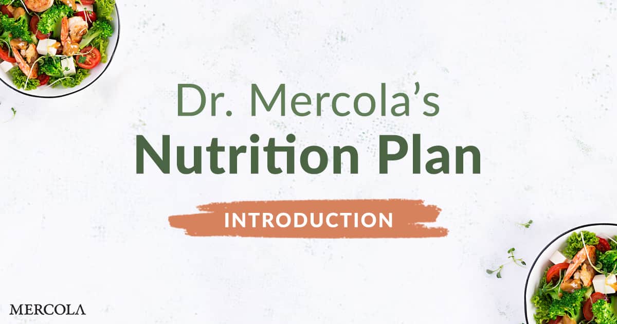 Take Control of Your Health With My Nutrition Plan
