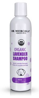 Organic Lavender Shampoo for Dogs
