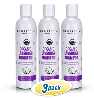 Organic Lavender Shampoo for Dogs