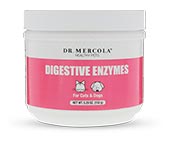 Digestive Enzymes for Pets