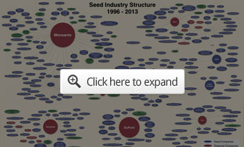 Seed Industry Structure