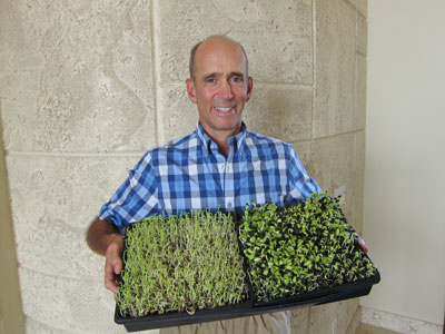 Dr. Mercola's Sprout