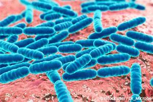 Полезные бактерии