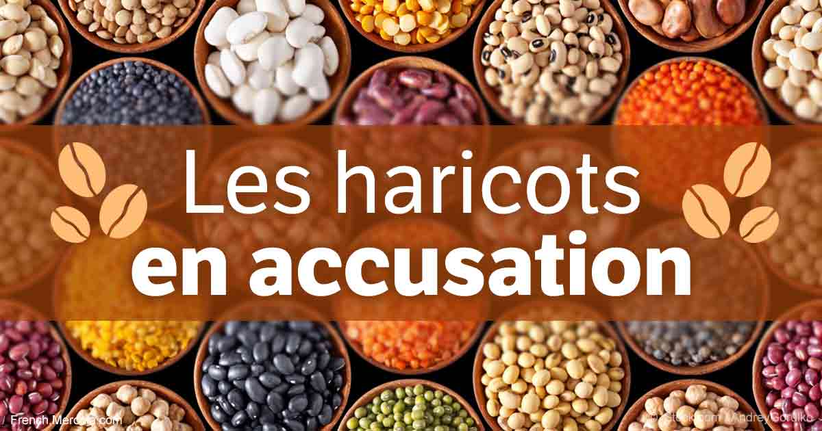 Haricots et autres aliments contenant des lectines toxiques