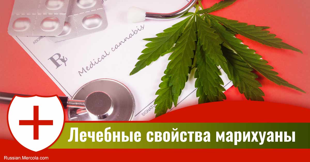 Как вылечить эпилепсию коноплей Как вылечить эпилепсию коноплей thumbnail