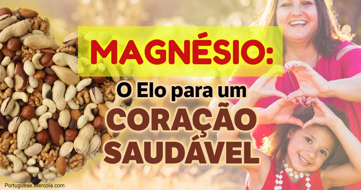 O Magnésio é o Elo Perdido na sua Rotina de Manutenção de um Coração ...