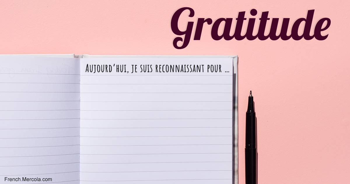 Les nombreux bienfaits de la gratitude pour la santé