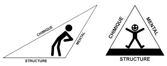 Triangle de la santé