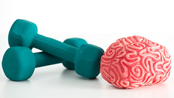 os exercícios e o cérebro
