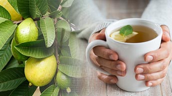 Herbata z liści guawy