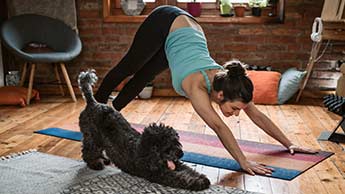 mulher fazendo ioga com o cachorro