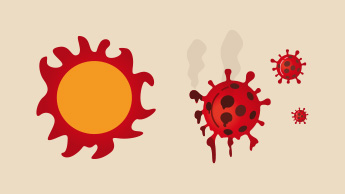 La luce solare può uccidere il coronavirus