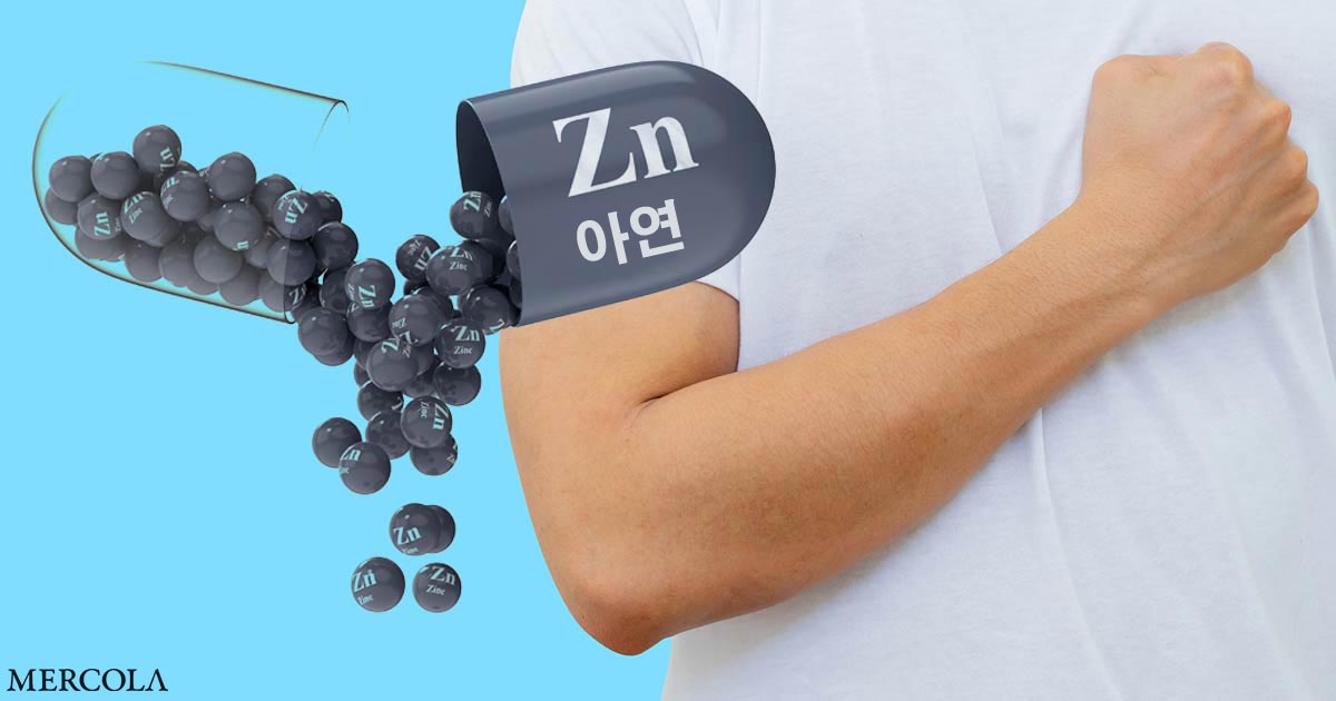 아연이 면역 건강을 향상시키는 방법