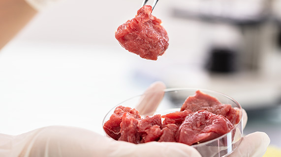 mięso hodowane z ludzkich komórek