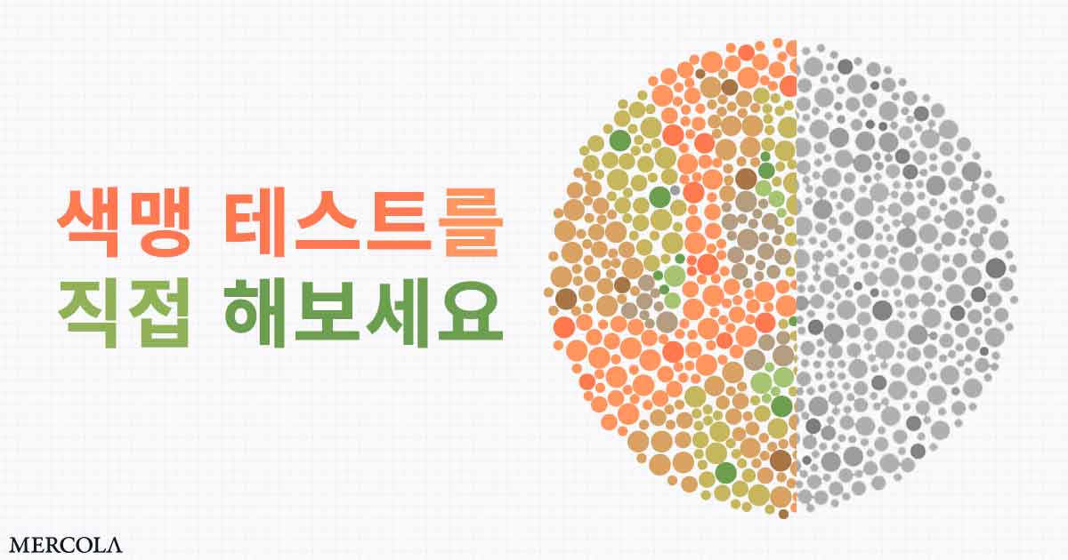 남성 열두 명 중 한 명은 색맹의 영향을 받습니다