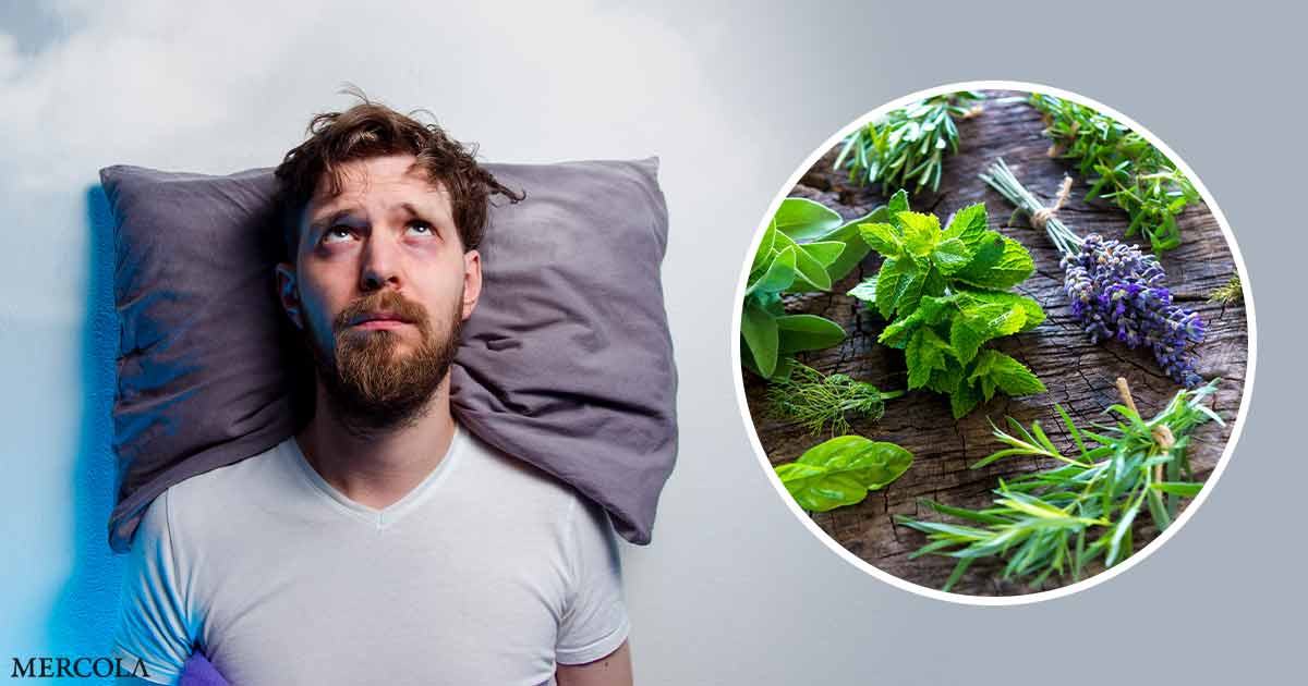 Les plantes une option plus saine pour lutter contre l'insomnie — free download