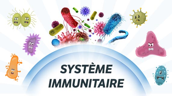 renforcer le système immunitaire