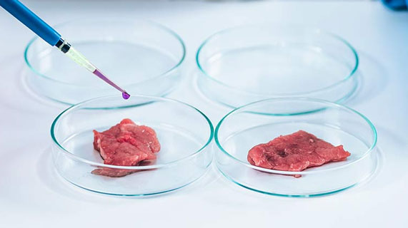 viande cultivée en laboratoire