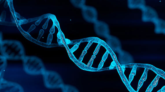 O que o teste de metilação de DNA pode dizer sobre sua saúde?