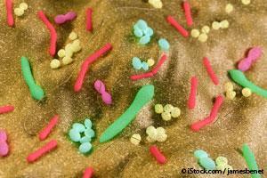Bactéries Intestinales