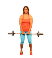 Barbell Raises