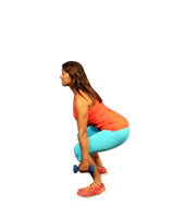 Dumbbell Squat