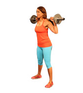 Traditional Barbell Squat