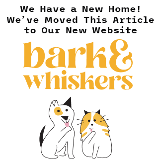 bark and whiskers