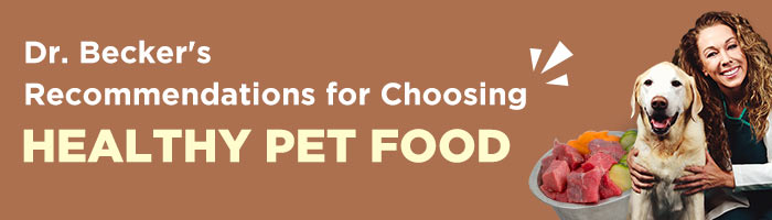 Pet Food Top Tips